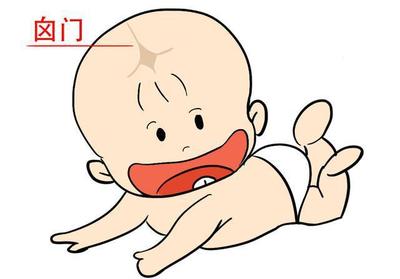 新生兒囟門(mén)